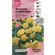 Бегония клубневая Сан дансер Еллоу 5 шт