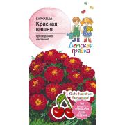 Бархатцы Красная вишня 10 шт