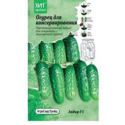 Огурец Задор F1 для консервирования 0,25 г