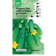 Огурец Траст F1 7 шт