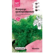 Аспарагус густоцветковый Мазеппа 5шт