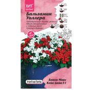 Бальзамин Уоллера Бикон Микс Кейп пайн 5 шт