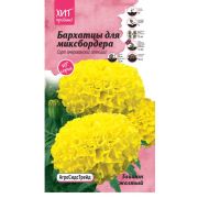 Бархатцы Тайшань желтый для миксбордера 5 шт