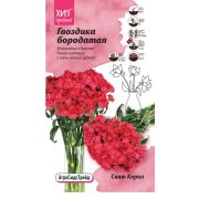 Гвоздика бородатая Свит Корал 6 шт