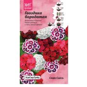 Гвоздика бородатая Свит Смесь 6 шт