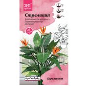 Стрелиция Королевская 3шт