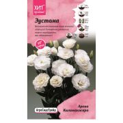 Эустома Арена Килиманжаро 5 шт