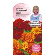 Бархатцы Огненный шар 10 шт