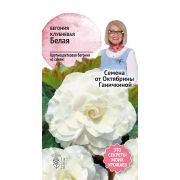 Бегония клубневая Белая 6 шт